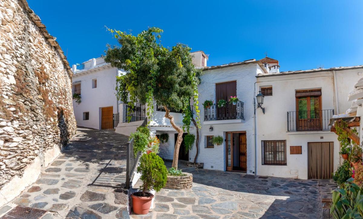 Casa Antonia Capileira La Alpujarra Apartment Exterior photo
