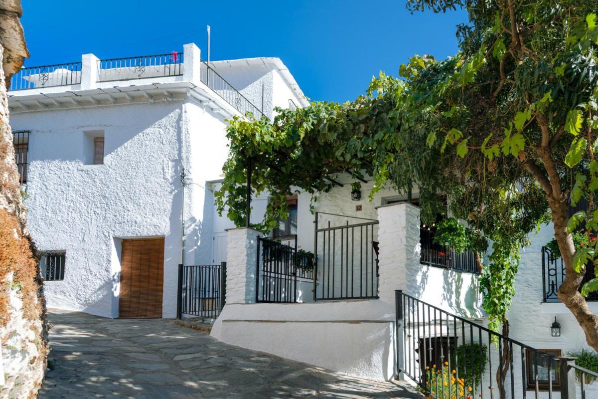 Casa Antonia Capileira La Alpujarra Apartment Exterior photo
